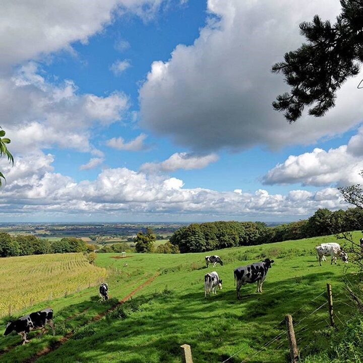 agriculture