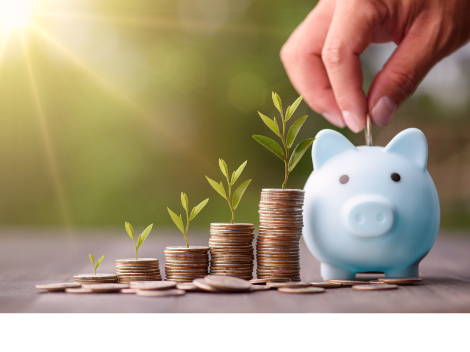 Simulateur &eacute;pargne de la caisse d'&eacute;pargne