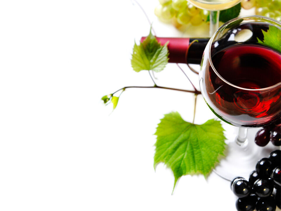 Vitilis Agri Viti Pro Banner