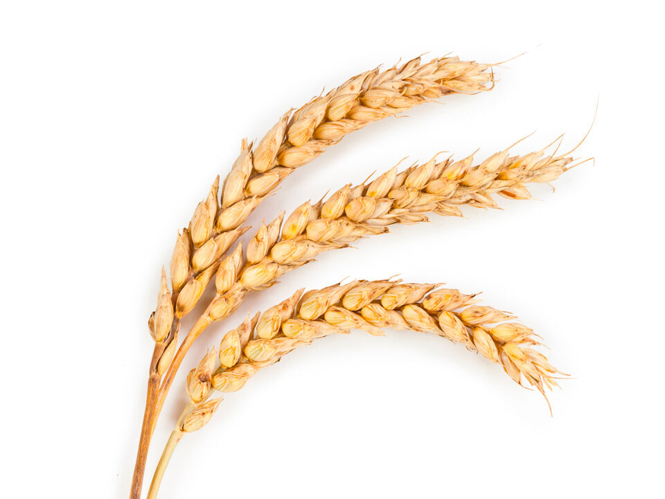 Agri convergence Agris Vitis Banni&egrave;re