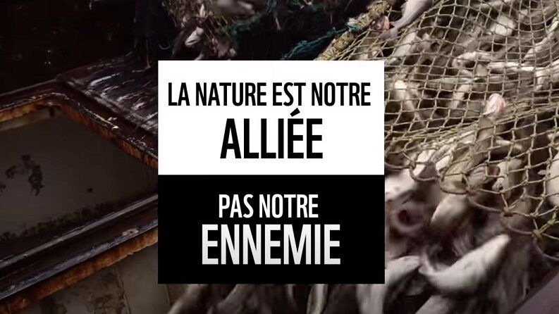 Inversons la courbe du d&eacute;clin de la biodiversit&eacute;