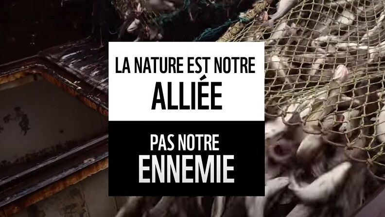 Inversons la courbe du déclin de la biodiversité