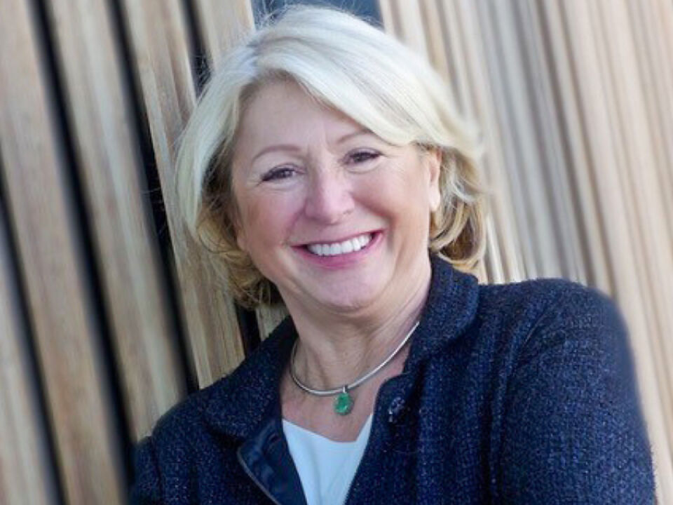 Dominique Goursolle-Nouhaud