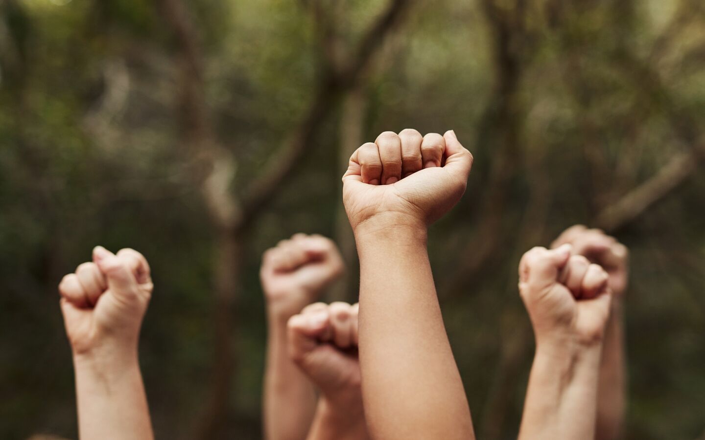 Accompagner l’économie sociale et solidaire face à la crise