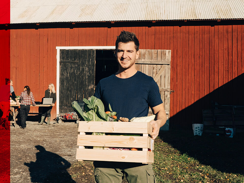 Homme tenant une cagette remplie de légumes