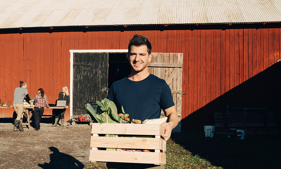 Homme tenant une cagette remplie de légumes