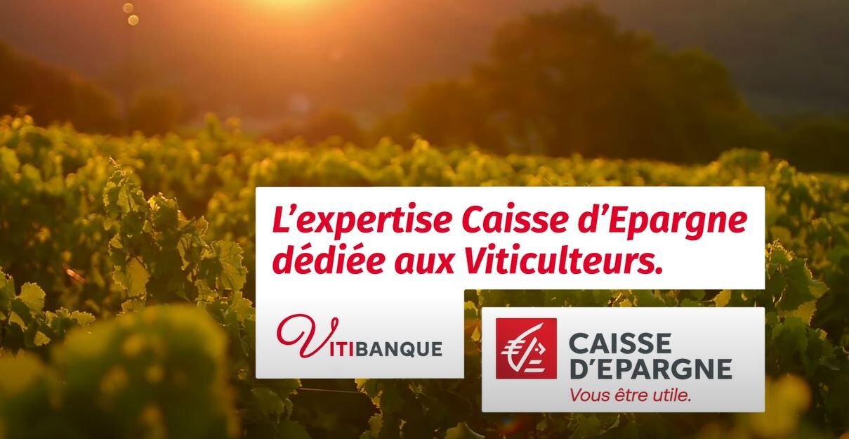 Vid&eacute;o L'expertise Caisse d'Epargne d&eacute;di&eacute;e aux Viticulteurs