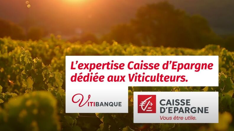 Vidéo L'expertise Caisse d'Epargne dédiée aux Viticulteurs
