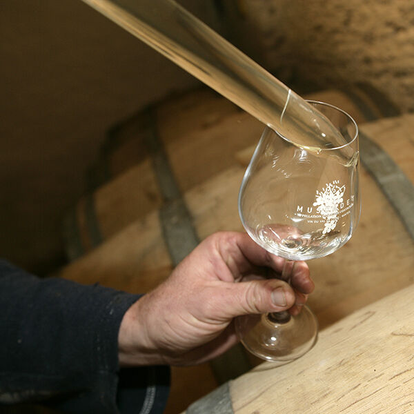 Verre de vin sur une barrique
